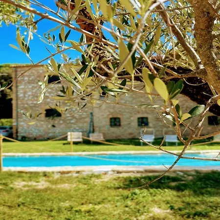 Exclusive Pool-open All Year-spoleto Biofarm-slps 8-village Shops, Bar1 Km 4 Farm stay *