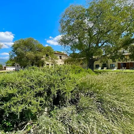 Exclusive Pool-open All Year-spoleto Biofarm-slps 8-village Shops, Bar1 Km 4 Farm stay