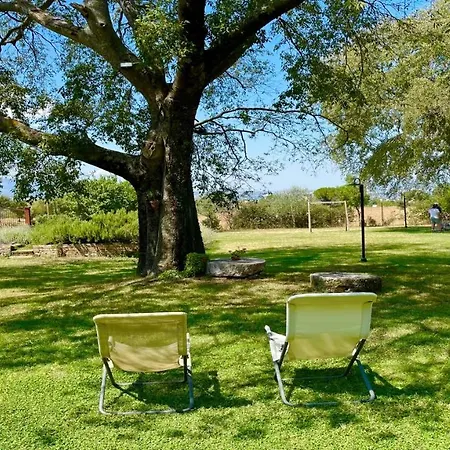 Exclusive Pool-open All Year-spoleto Biofarm-slps 8-village Shops, Bar1 Km 4
