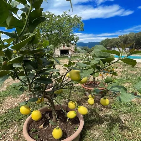 Exclusive Pool-open All Year-spoleto Biofarm-slps 8-village Shops, Bar1 Km 4
